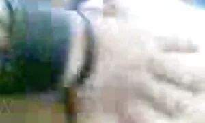 Malay fəaliyyət 5 on ...